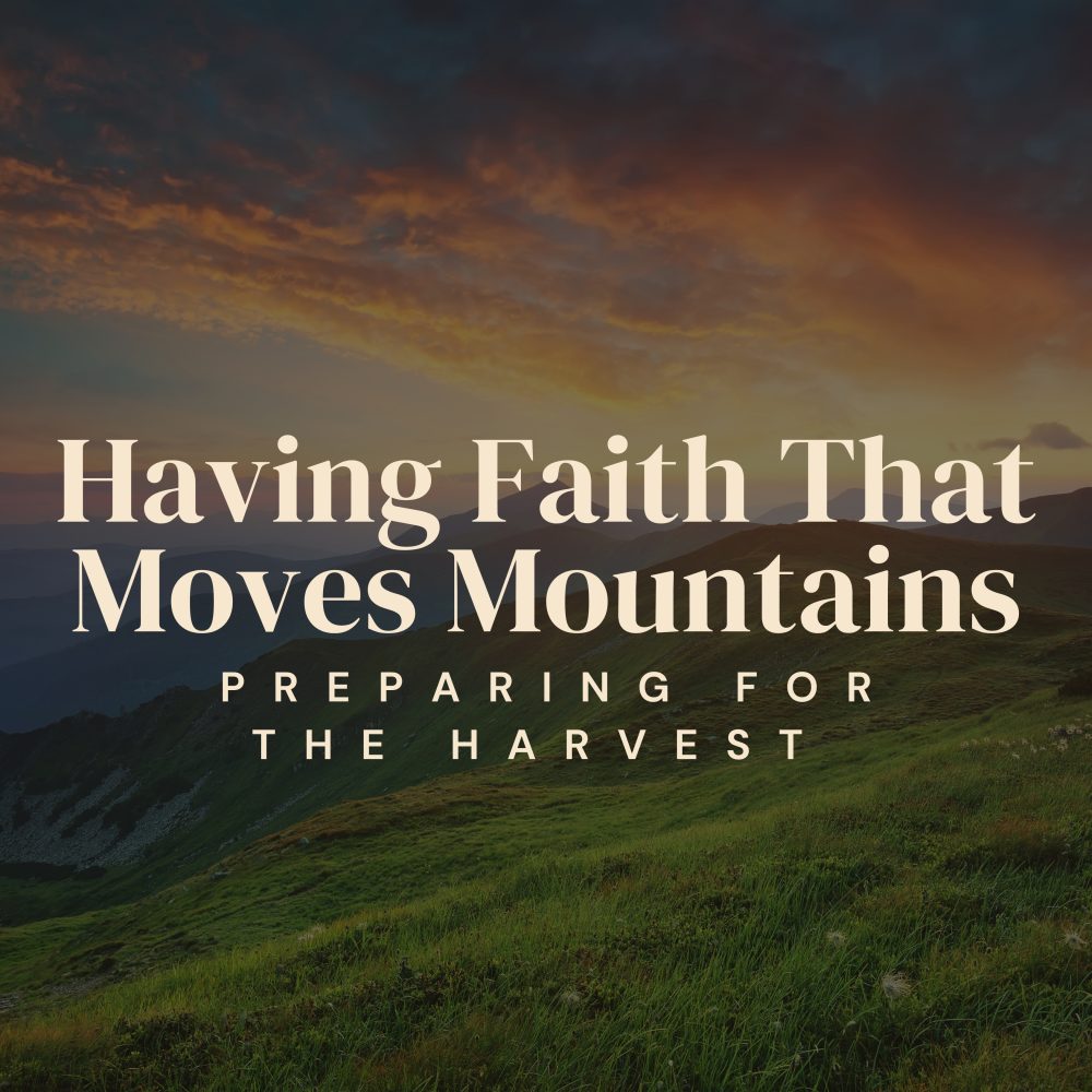 Having Faith That Moves Mountains Image